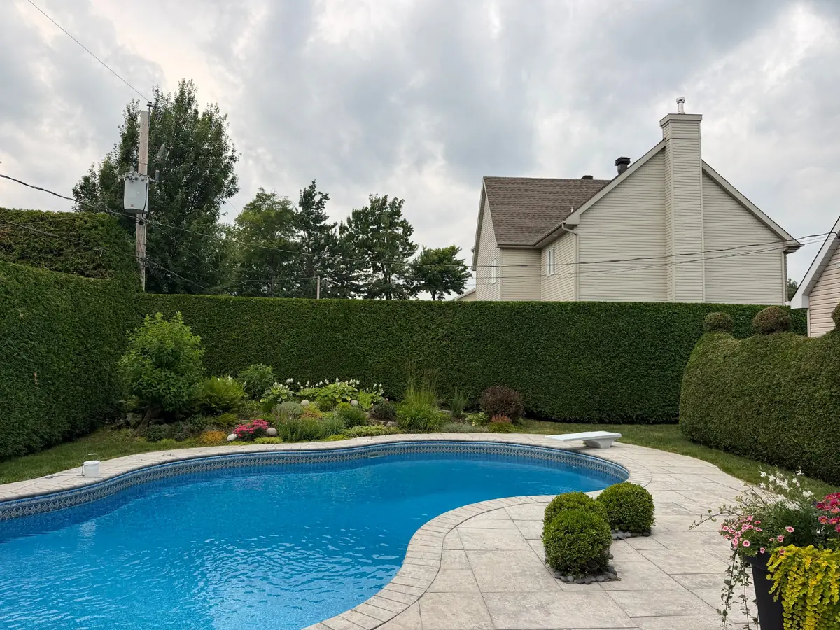 Cour avec piscine encadree par des haies propres et uniformes