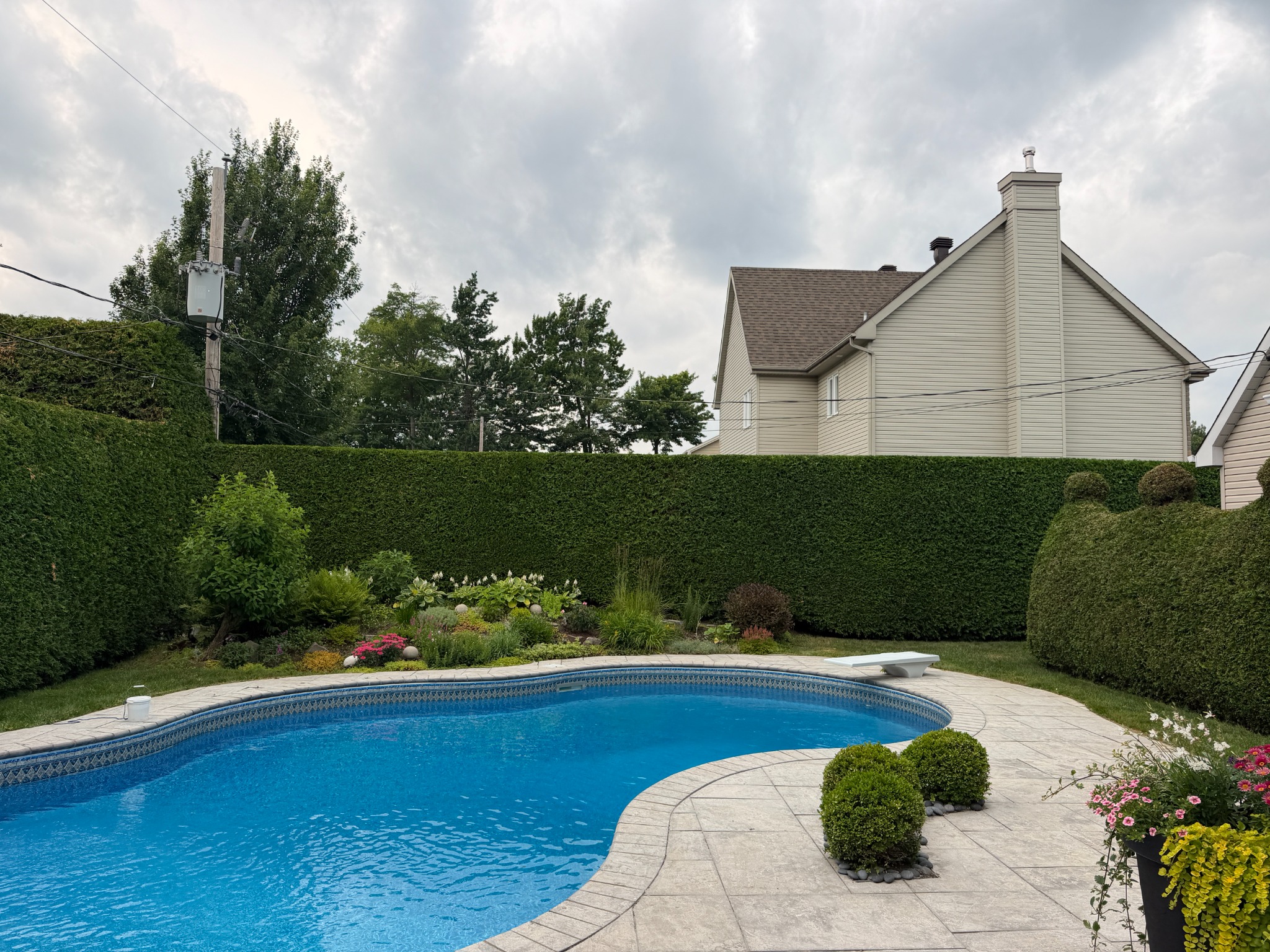 Cour avec piscine encadree par des haies propres et uniformes
